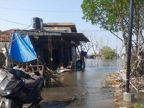 Puluhan Rumah di Tunggulsari Pati Kembali Terendam Rob