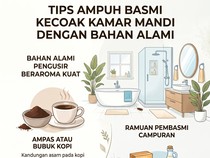 Infografis: 4 Bahan Ampuh Basmi Kecoak di Kamar Mandi