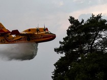 Pesawat Canadair Dikerahkan Padamkan Kebakaran Hutan Fontainebleau