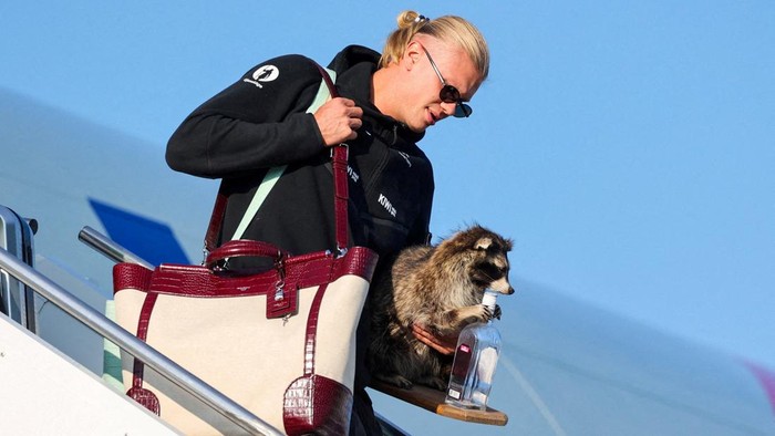 Erling Braut Haaland carries a stuffed raccoon as he gets off the plane after the national football team landed at Oslo Airport, in Gardermoen, Norway, July 13, 2026. Jan Langhaug /NTB/via REUTERS ATTENTION EDITORS - THIS IMAGE WAS PROVIDED BY A TH