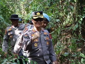 Ancaman Hukuman Bagi Pembakar Hutan: 15 Tahun Penjara-Denda Rp 5 Miliar