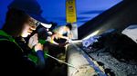 Konservasi Unik di Taiwan, Jalan Ditutup Demi Migrasi Kepiting Bakau