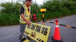 Konservasi Unik di Taiwan, Jalan Ditutup Demi Migrasi Kepiting Bakau