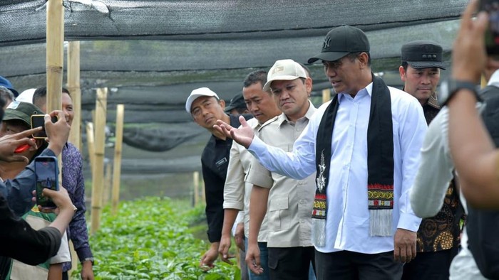 Mentan Amaran Sulaiman saat meninjau lokasi benih kopi di Bener Meriah, Aceh. (Foto: Pemerintah Aceh)