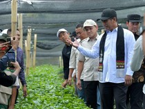 Mentan Dukung Pengembangan Kopi Gayo Pascabencana