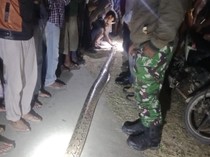 Penampakan Piton 6 Meter Gigit-Lilit Petani Wanita hingga Tewas di Mubar