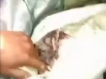 Viral Sopir Pikap Dipergoki Mau Buang Limbah Tulang ke Kali Cisadane Bogor