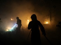Ngeri Kebakaran Hanguskan Hutan Bersejarah di Dekat Paris