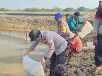 Dukung Ketahanan Pangan, Polairud Polda Metro Tebar 15 Ribu Benih Lele di Bekasi