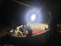 Arena Judi Sabung Ayam di Maros Digerebek, 1 Oknum Ngaku Satpol PP Ditangkap