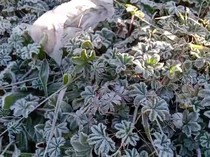 Cuaca Esktrem Melanda Puncak Merbabu, Pendaki Diminta Waspada