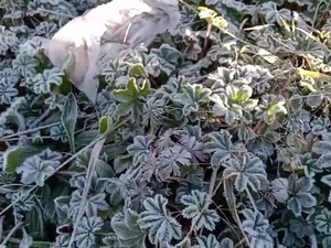 Cuaca Esktrem Melanda Puncak Merbabu, Pendaki Diminta Waspada