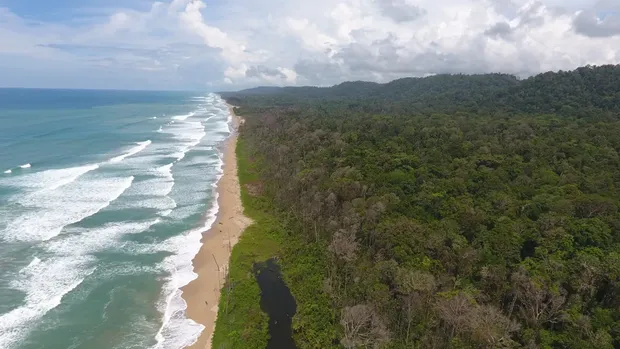 Taman Nasional Siberut