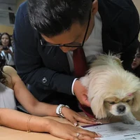 Viral, Pengantin Ini Jadikan Anjing Peliharaan Saksi Resmi Pernikahan