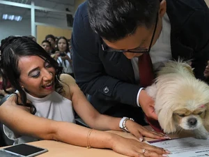 Viral, Pengantin Ini Jadikan Anjing Peliharaan Saksi Resmi Pernikahan