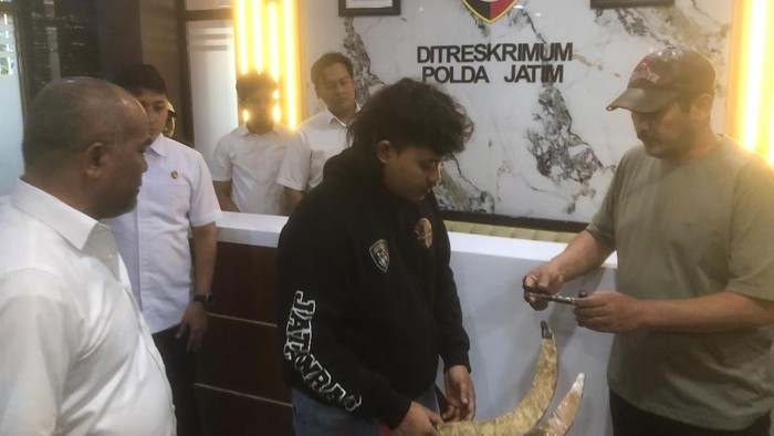Barang bukti celurit milik para komplotan begal yang kerap meresahkan warga di Pasuruan dan Jember disita tim Jatanras Polda Jatim