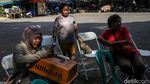 Canggih! Mobil Klinik Hewan Keliling Datangi Permukiman, Kucing dan Anjing Bisa Berobat Dekat Rumah