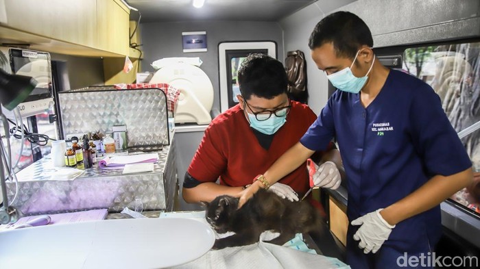 Warga Rusun Dakota, Kemayoran, Jakarta Pusat, tak perlu lagi membawa hewan peliharaan mereka ke klinik yang jauh untuk mendapatkan layanan kesehatan. Dinas Ketahanan Pangan, Kelautan dan Pertanian (KPKP) Provinsi DKI Jakarta menghadirkan mobil klinik hewan keliling yang memberikan pemeriksaan dan pengobatan bagi kucing serta anjing langsung di lingkungan permukiman, Rabu (15/7/2026).