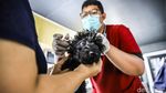 Canggih! Mobil Klinik Hewan Keliling Datangi Permukiman, Kucing dan Anjing Bisa Berobat Dekat Rumah