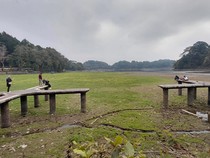 Situ Gede Jadi Padang Rumput, Wisata dan Pertanian Terpukul
