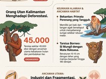 Infografis: 5 Satwa Asli Borneo, Populasinya Makin Mengkhawatirkan