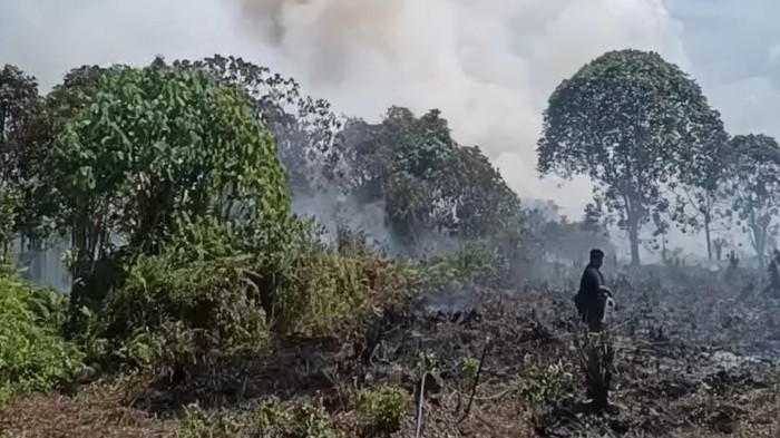 Karhutla di Kotim Dipasangi Garis Polisi