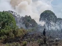 5 Lokasi Karhutla di Kotim Dipasangi Garis Polisi, Pemilik Akan Diperiksa