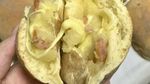 Cantik Banget! 8 Dekorasi Kue Estetik, Ada Bentuk Kura-kura dan Apel
