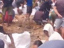 Lahan Perkebunan Diduga Mengandung Emas di Boltim Diserbu Warga