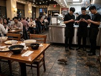 Ilfeel! Pelanggan Pergoki Tikus Berkeliaran di Restoran, Netizen Ikut Geram