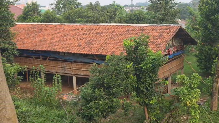 Peternakan ayam dekat klaster rumah di Ciputat, Tangerang Selatan.