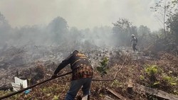 Bakar Lahan Sendiri, 11 Orang Jadi Tersangka Kasus Karhutla di Kotim