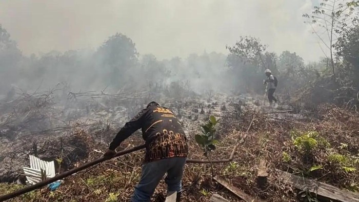 Petugas BPBD Kotawaringin Timur berjuang memadamkan api karhutla. (dok BPBD Kotim)