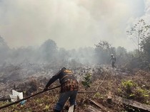 151,7 Hektare Lahan di Kotim Ludes Terbakar, Titik Api Masih Muncul