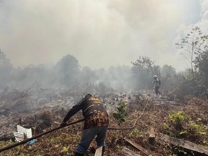 Petugas BPBD Kotawaringin Timur berjuang memadamkan api karhutla. (dok BPBD Kotim)