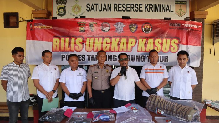 Polisi saat merilis pengungkapan kasus penjualan kulit Harimau Sumatera di Tanjabtim, Jambi