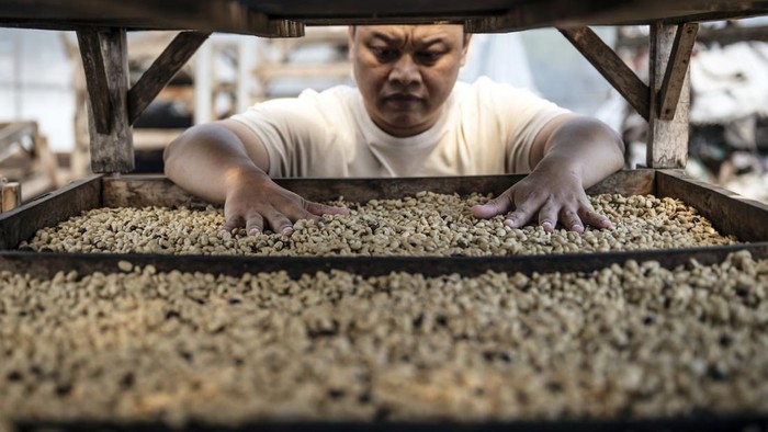 Pekerja mencium aroma biji kopi arabika hasil proses washed yang sedang dijemur di gudang CV Kwadungan Java Coffee, kawasan Lereng Gunung Sindoro, Kledung, Temanggung, Jawa Tengah, Rabu (15/7/2026). Menteri Pertanian Andi Amran Sulaiman membidik nilai ekspor kopi Indonesia mencapai Rp100 triliun per tahun melalui peningkatan produksi, penguatan hilirisasi, perluasan pasar ekspor, serta kolaborasi seluruh pemangku kepentingan dalam memperkuat daya saing kopi nasional di pasar global. ANTARA FOTO/Aprillio Akbar/hma
