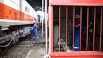 B50 Mulai Dipakai di Kereta Api