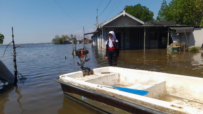 Banjir rob di Desa Tunggulsari, Kecamatan Tayu, Pati, Kamis (16/7/2026).