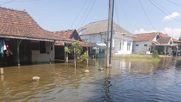 Banjir rob di Desa Tunggulsari, Kecamatan Tayu, Pati, Kamis (16/7/2026).