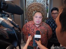 Danantara Jadi Pemodal Awal Pusat Finansial RI? Ini Kata Pandu Sjahrir