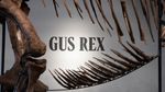 Fosil T. rex Gus Pecahkan Rekor Lelang, Laku Rp 900 Miliar Lebih