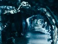 Gua Norwegia Ungkap Dunia Arktik Berusia 75.000 Tahun
