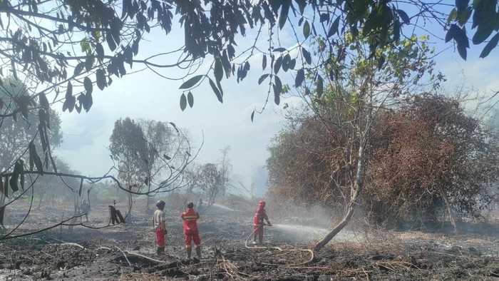 Karhutla di dekat kawasan Bandara Internasional Supadio Pontianak. (dok Istimewa)