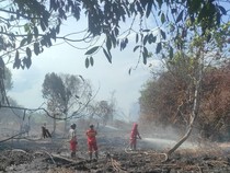 28 Ribu Hektare Lahan di Kalbar Terbakar di 2026, Ketapang-Mempawah Terluas
