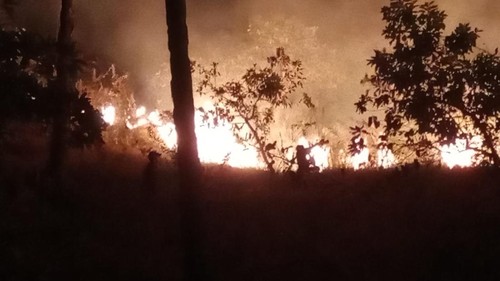Kawasan sabana Bukit Keranga, Labuan Bajo, kebakaran, Rabu (15/7/2026) sore hingga malam.