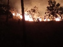 100 Hektare Sabana Bukit Keranga Labuan Bajo Terbakar