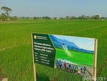 Kementan Terapkan Pertanian Modern di Trenggalek, Segini Targetnya