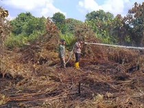 Lahan Gambut Muaro Jambi Terbakar, BPBD: Satgas Fokus Lakukan Pendinginan