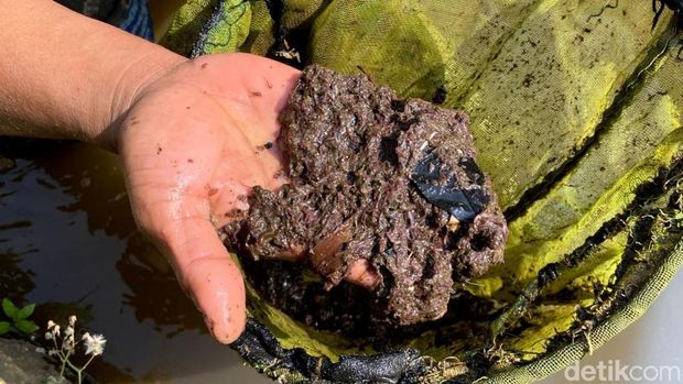 Nendi pencari cacing sutra di Sungai Cikapundung Nendi pencari cacing sutra di Sungai Cikapundung